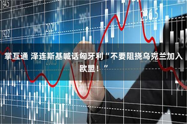 掌互通 泽连斯基喊话匈牙利“不要阻挠乌克兰加入欧盟！”